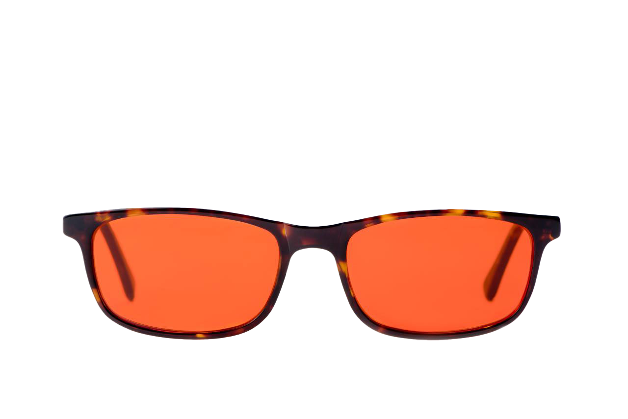 Tortoise Shell Blue Light Blocking Glasses Front View